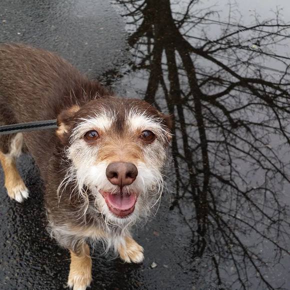 Meet your Posher, Inkthethink - Picture 1 of 1